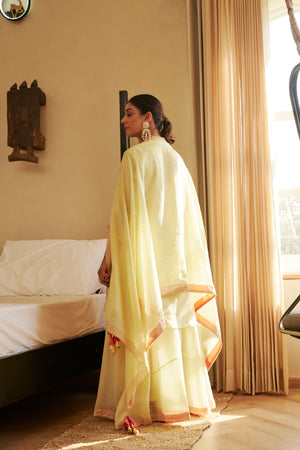 Kurta Set | TCT-876