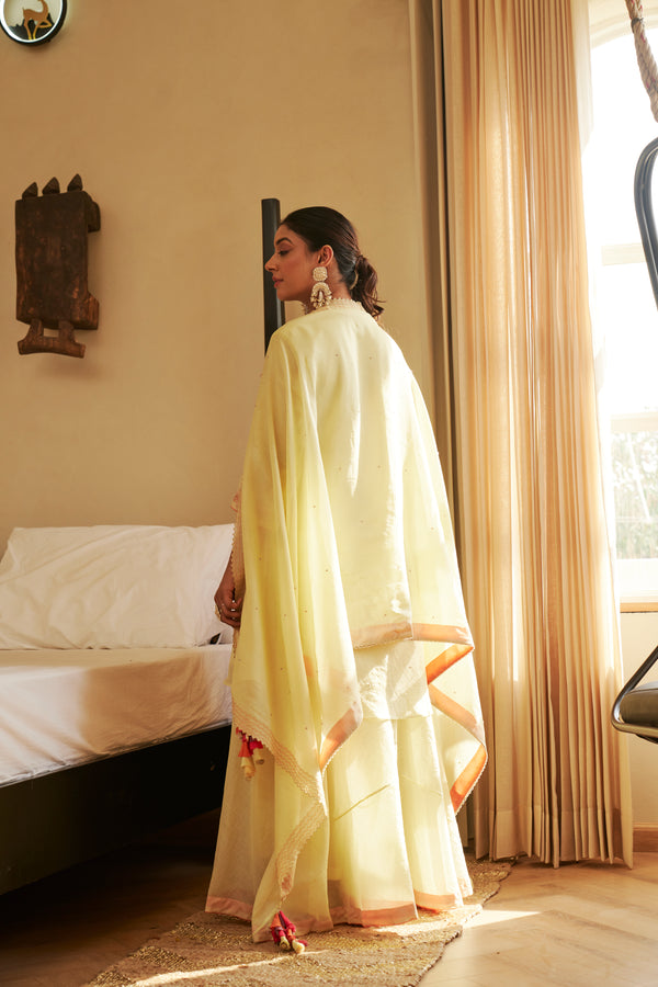 Kurta Set | TCT-876