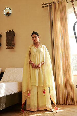 Kurta Set | TCT-876