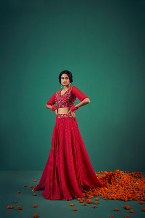 Bustier Paired with Skirt and Dupatta | TCT-554