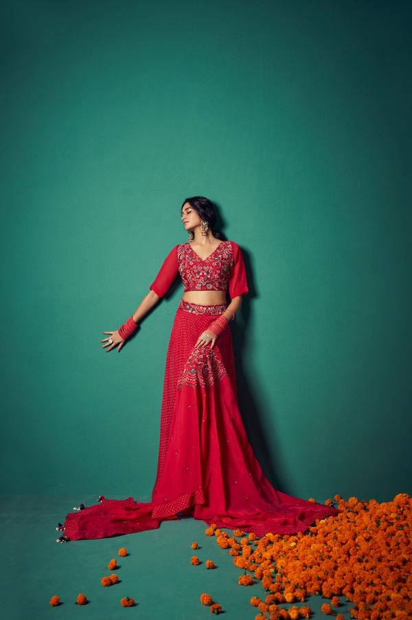 Bustier Paired with Skirt and Dupatta | TCT-554