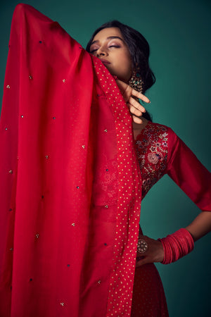 Bustier Paired with Skirt and Dupatta | TCT-554
