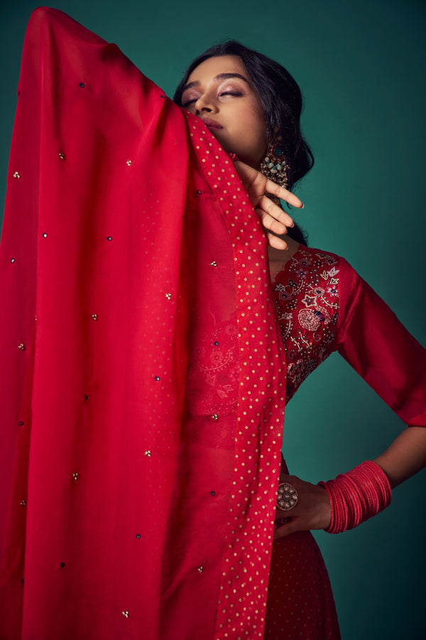 Bustier Paired with Skirt and Dupatta | TCT-554