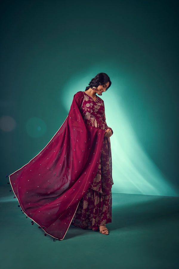 Maroon Paisley Print Kurta Set | TCT-566