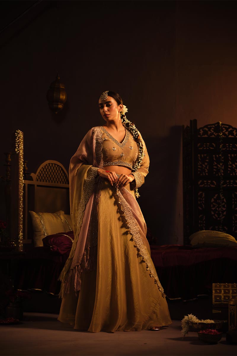 Brown Lehanga set | TCT-767