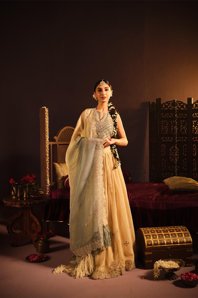 Powder Blue lehanga set | TCT-766
