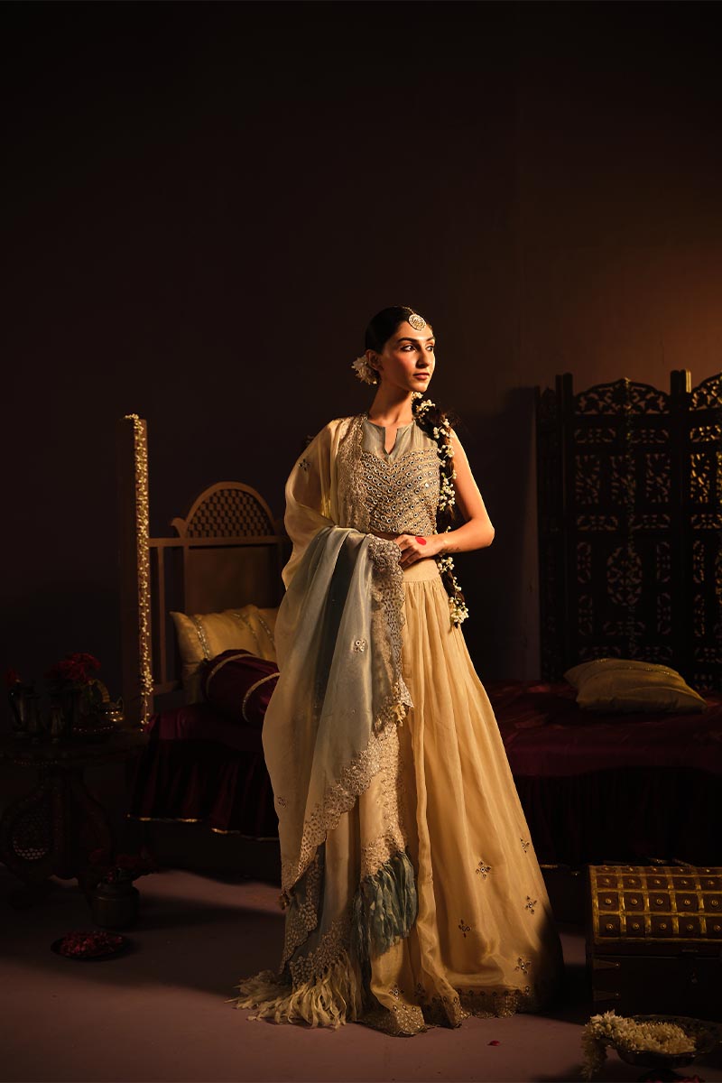 Powder Blue lehanga set | TCT-766