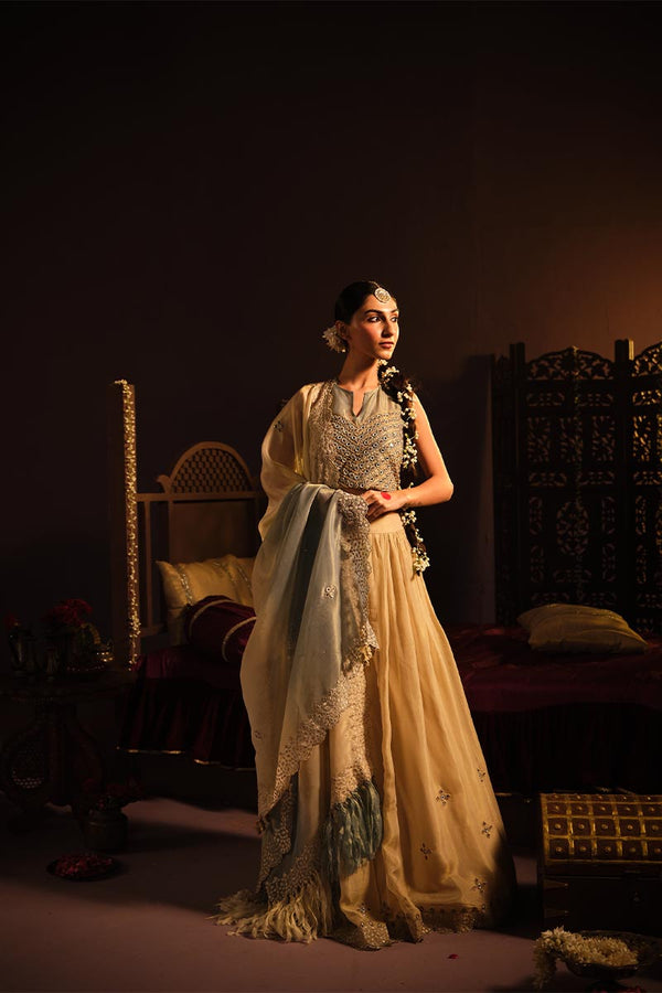 Powder Blue lehanga set | TCT-766
