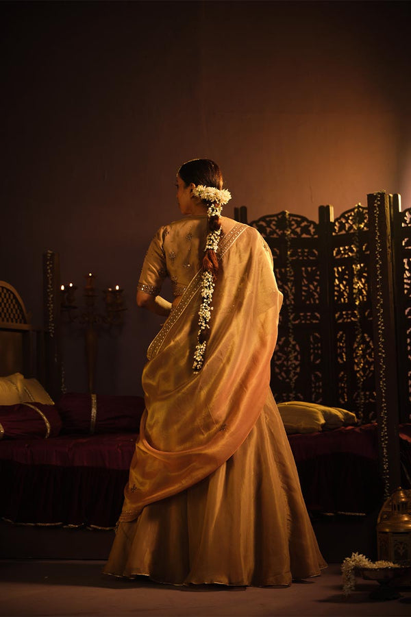 Brown Lehanga set | TCT-762