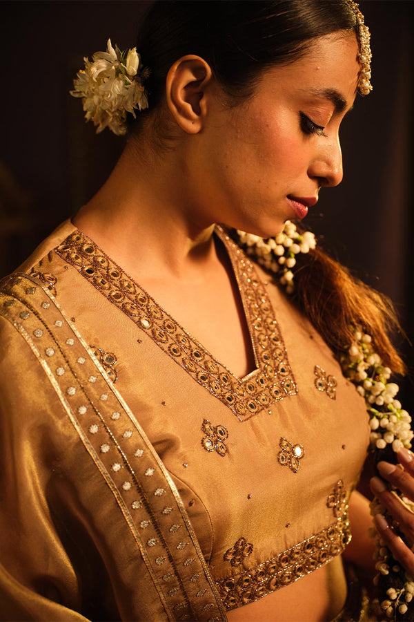 Brown Lehanga set | TCT-762