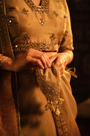 Brown Lehanga set | TCT-762